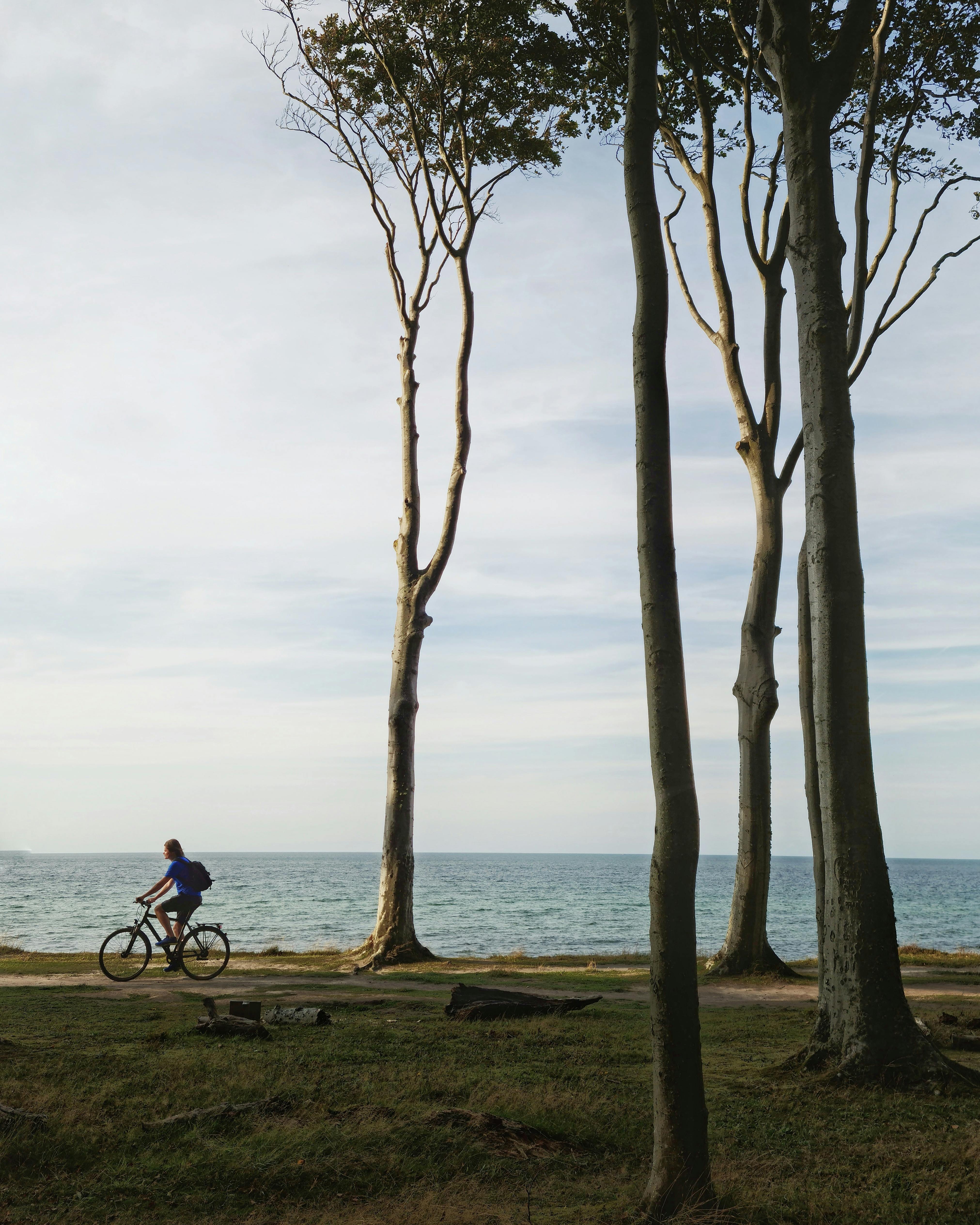 A man cycling along the shore of the Baltic Sea, framed by trees in Usedom.