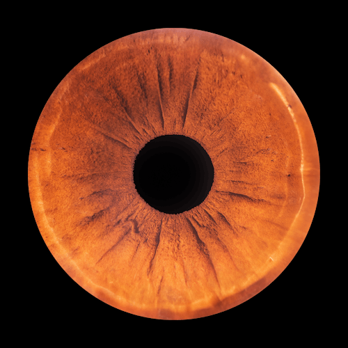 Bezpłatne Darmowe zdjęcie z galerii z gałka oczna, obiektyw, oko Zdjęcie z galerii