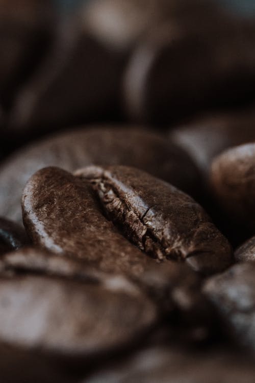 Free Close-up of Coffee Bean Stock Photo