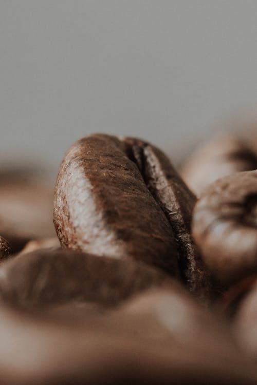 Close-up of Coffee Bean