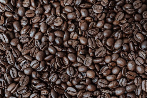 Free Dark Coffee Beans Stock Photo