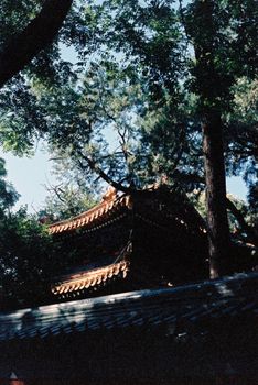 Beautiful view of a traditional Chinese pagoda surrounded by lush greenery in a serene outdoor setting.