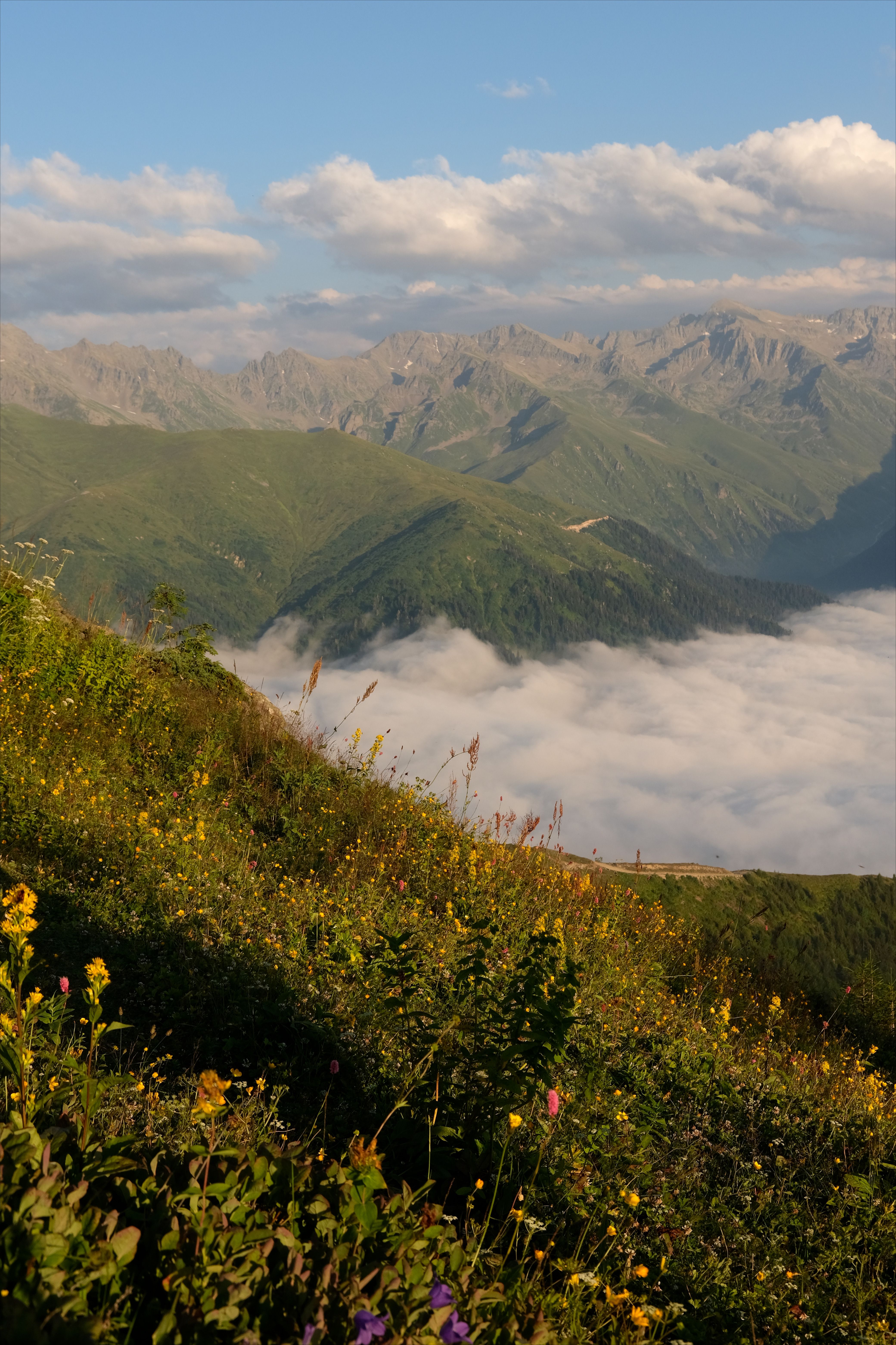 A stunning mountain landscape with a mist-filled valley under a clear blue sky, showcasing vibrant alpine flora.