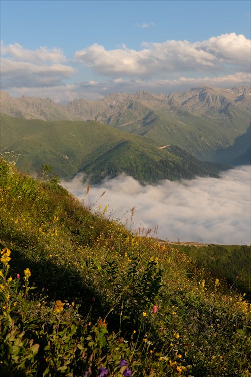 Free Mountain Valley Covered with Fog Stock Photo