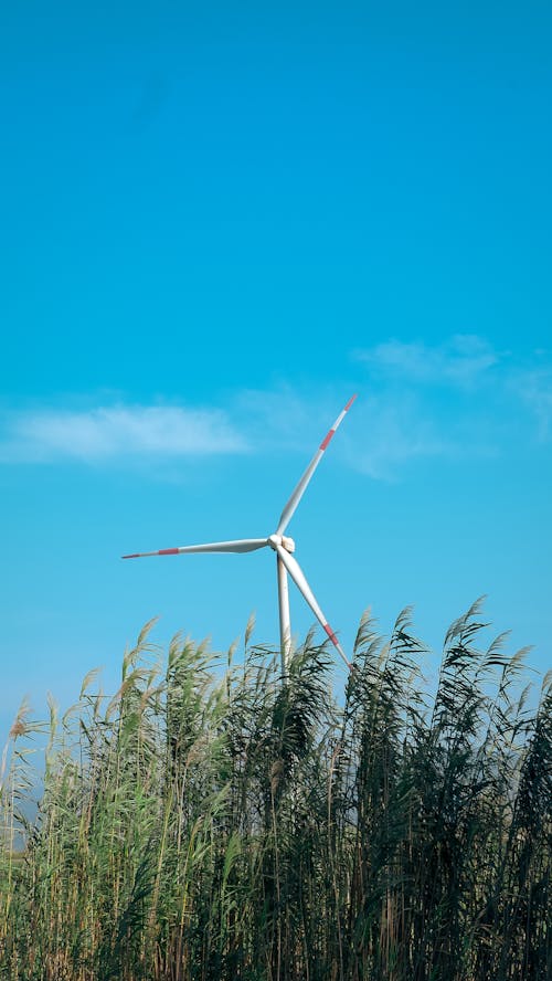 Foto stok gratis angin, ekologi, kincir angin