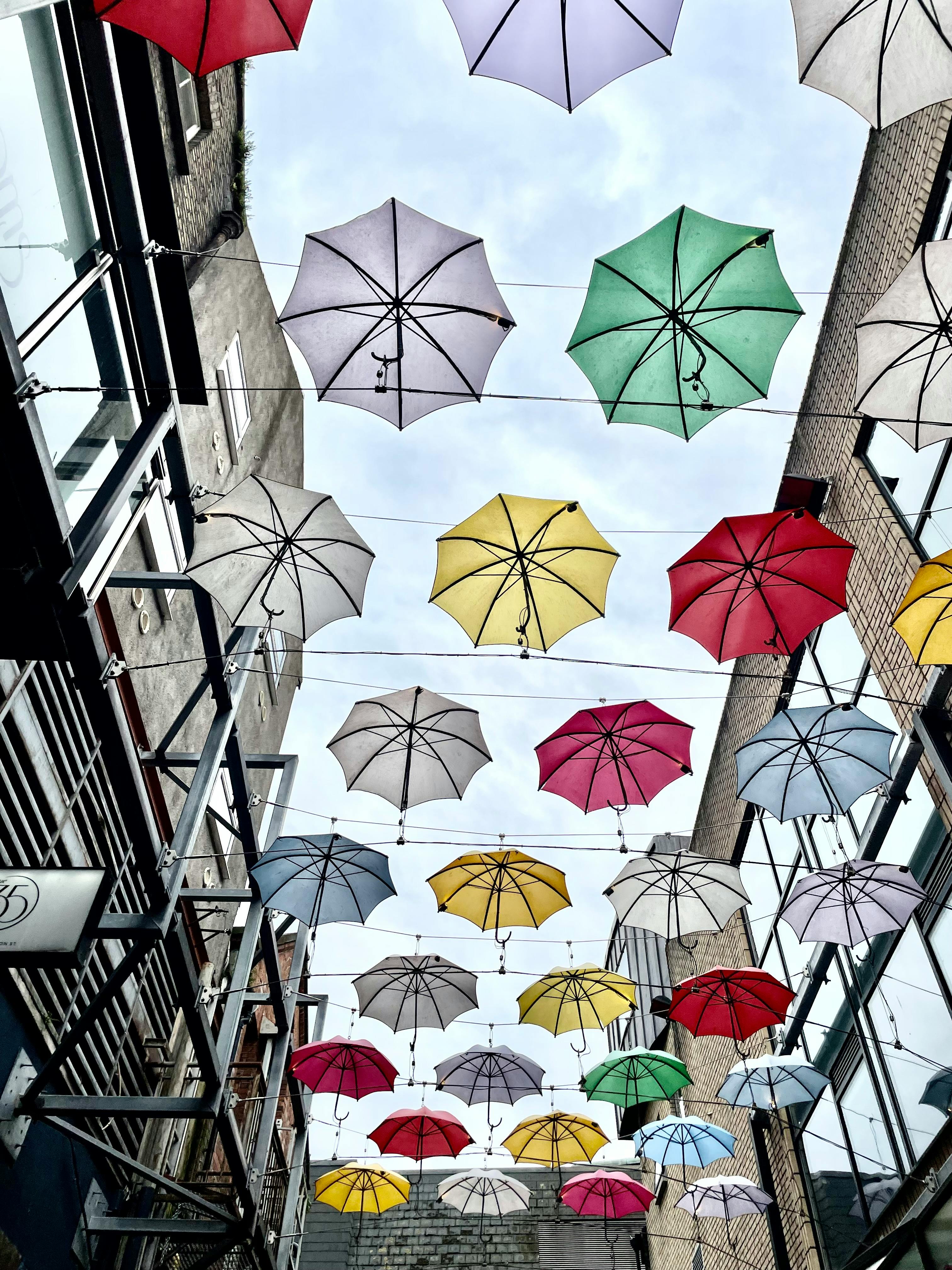 Colorful Umbrellas Hanging in Alley in Town · Free Stock Photo