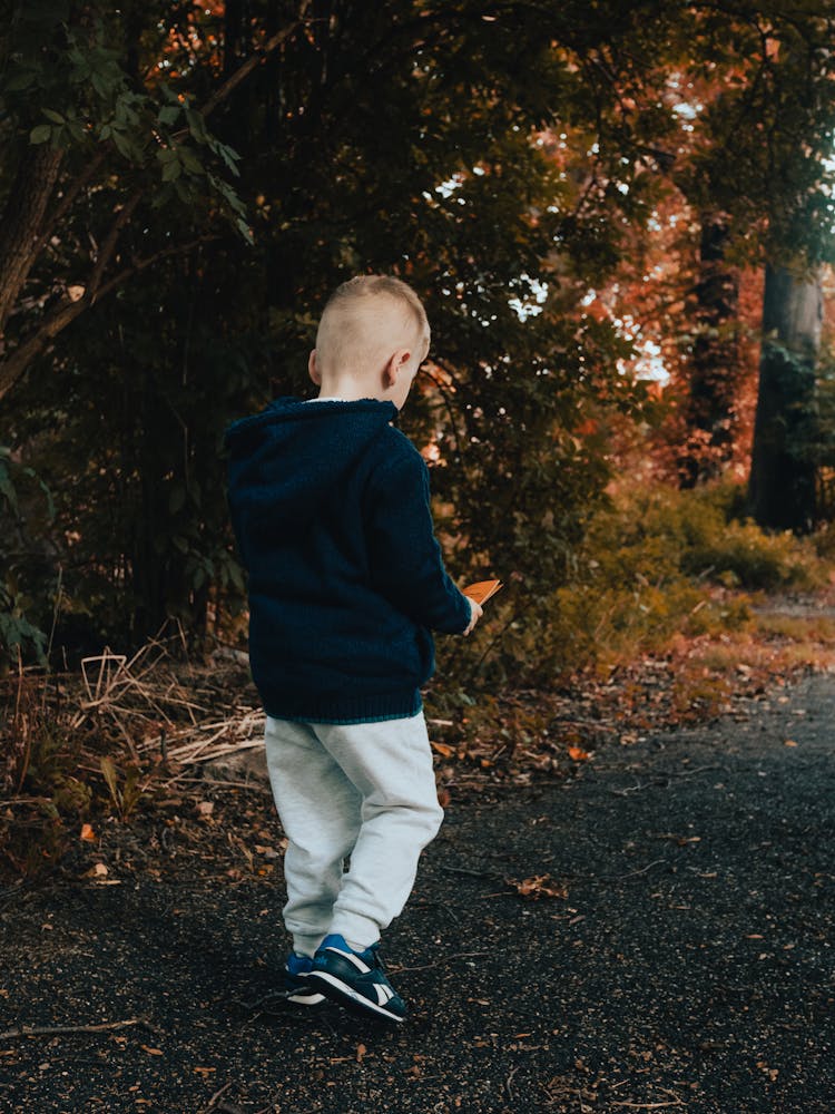 A Little Boy Walking On The Pavement 