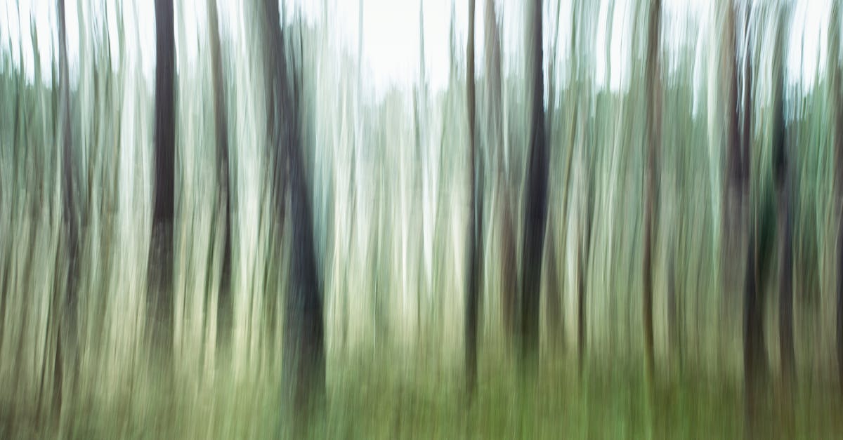 The Static Bloom 1 image text