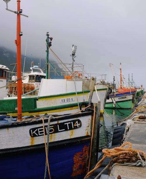 bağlı, balıkçı tekneleri, deniz aracı içeren Ücretsiz stok fotoğraf