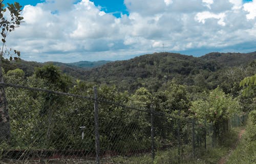 印度人, 藍天, 藍山 的 免费素材图片