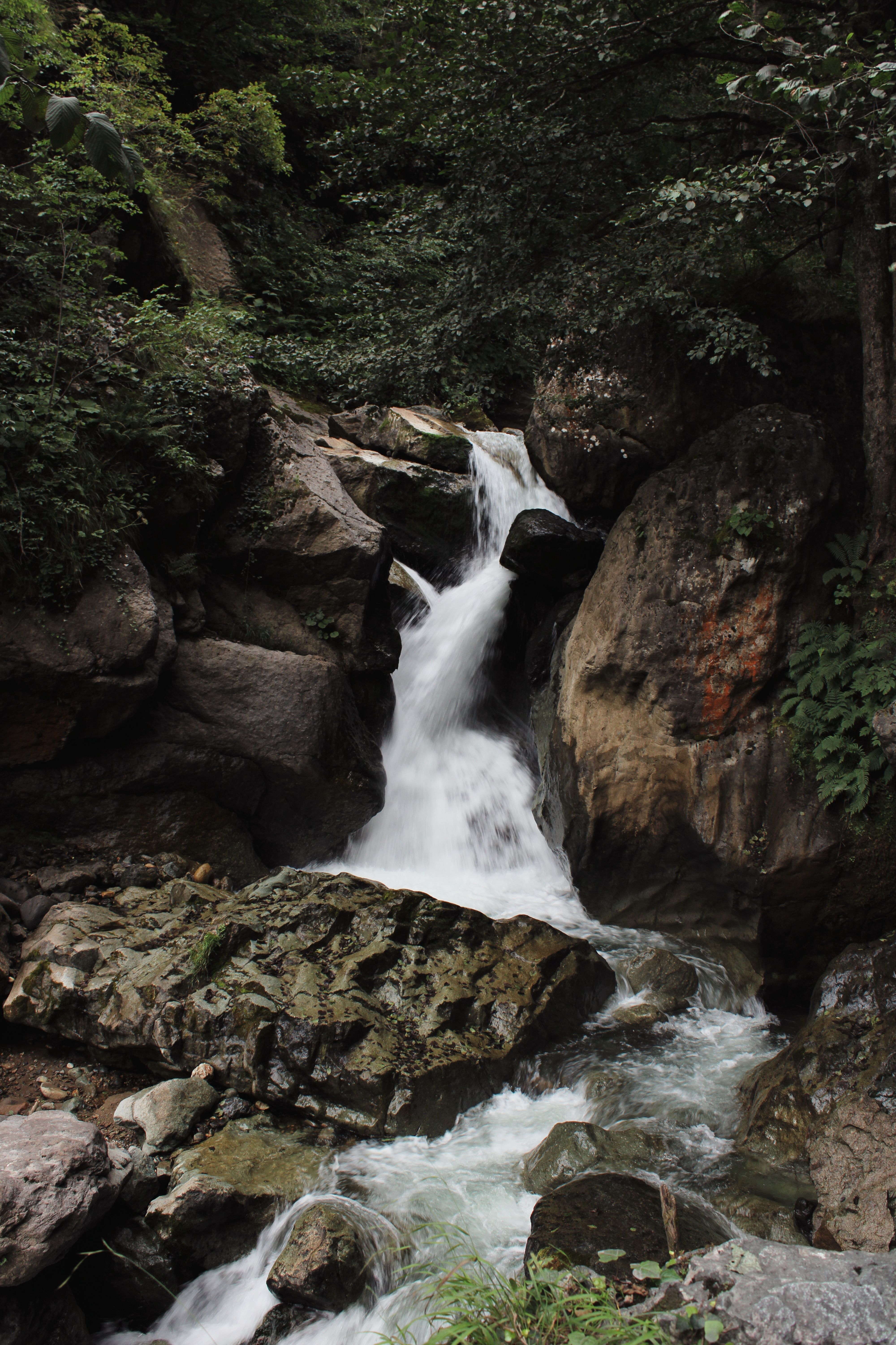 A cascading waterfall flowing through rocks in a lush forest setting.