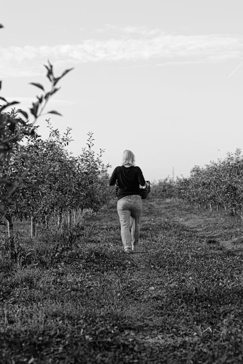A Woman walks alone between apple trees dramatic portrait