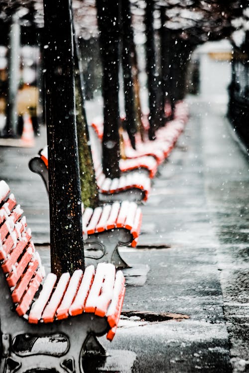 Free Chairs Covered in Snow Stock Photo