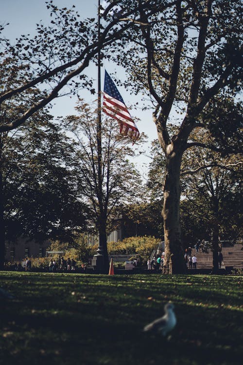 American Flag in a Park
