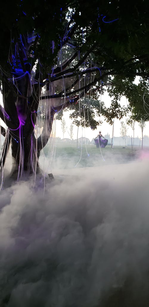 Fotos de stock gratuitas de escena de niebla con árbol y bailarina, niebla