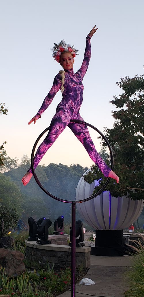 Fotos de stock gratuitas de bailarina en anillo aéreo, trapecista, trapecista de pie en el ring