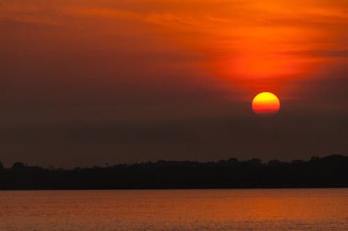 Darmowe zdjęcie z galerii z amazonka, las, poranne słońce