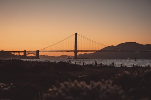 剪影, 加州的金門大橋, 吊橋 的 免费素材图片