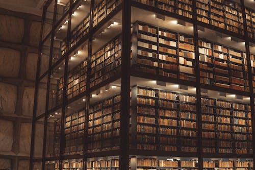 University Library in Connecticut