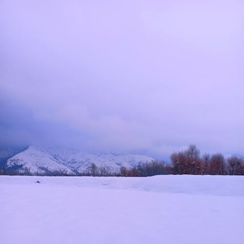 Lilac Toned Winter Landscape with Snow