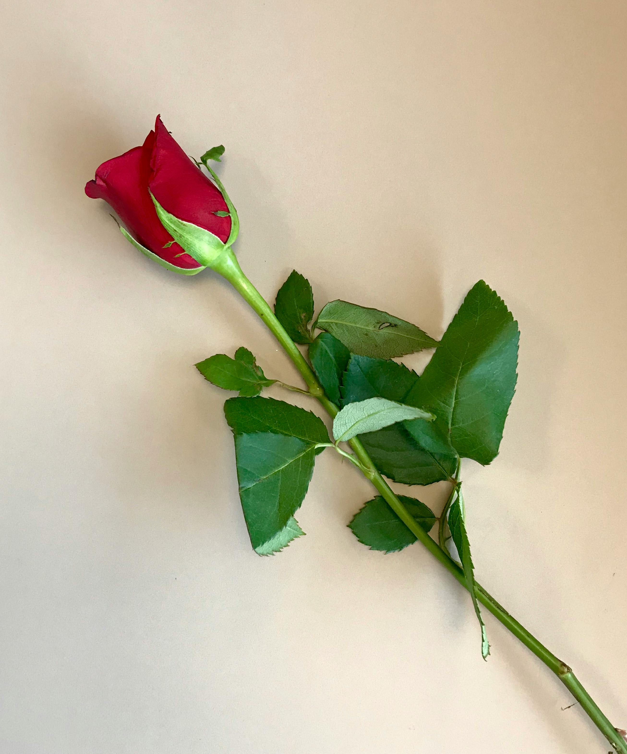 Crowd of football fans in a stadium during an intense match