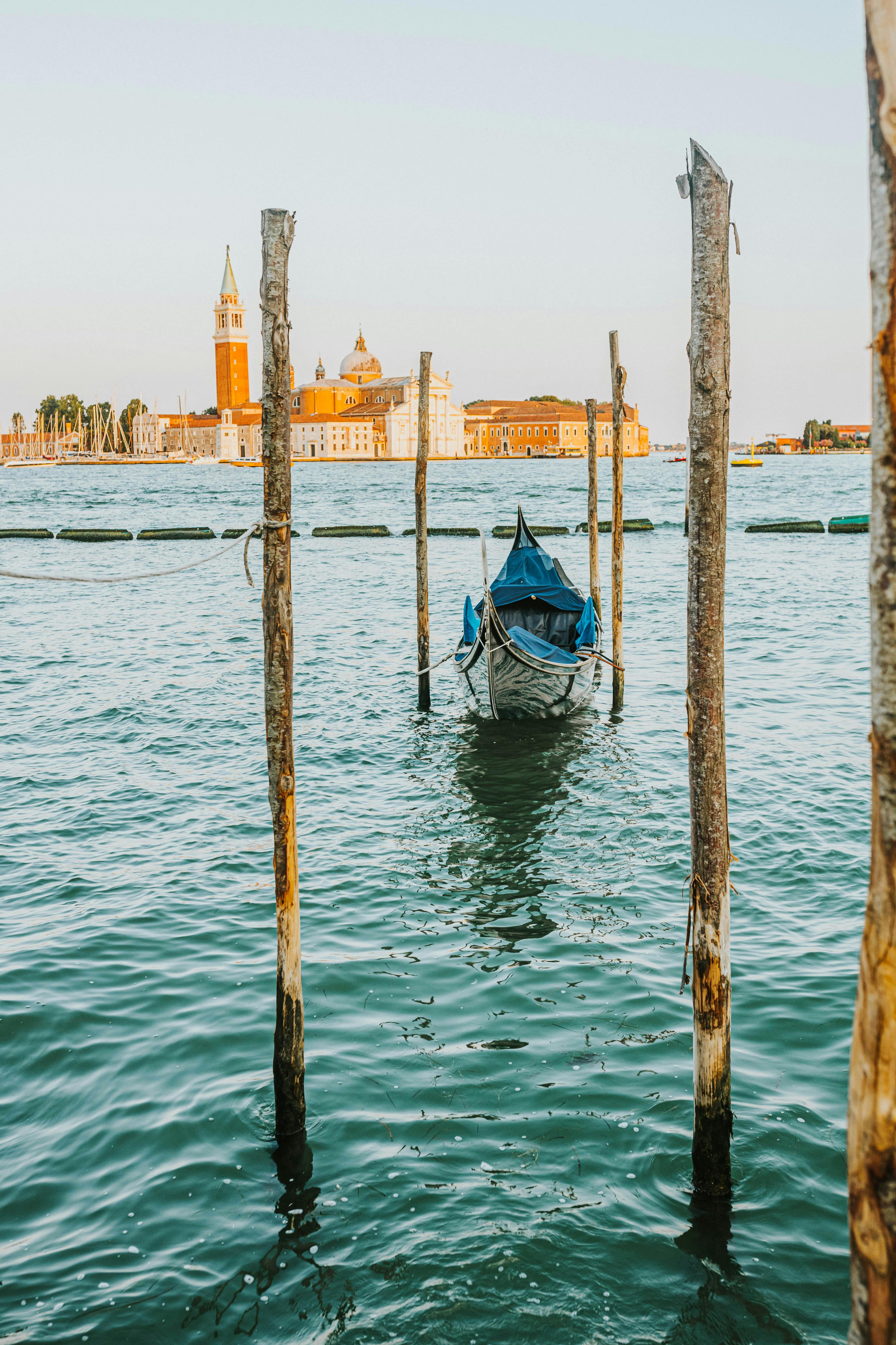 Лучшие фото (80 000+) по запросу «Binghamton Housing Portal