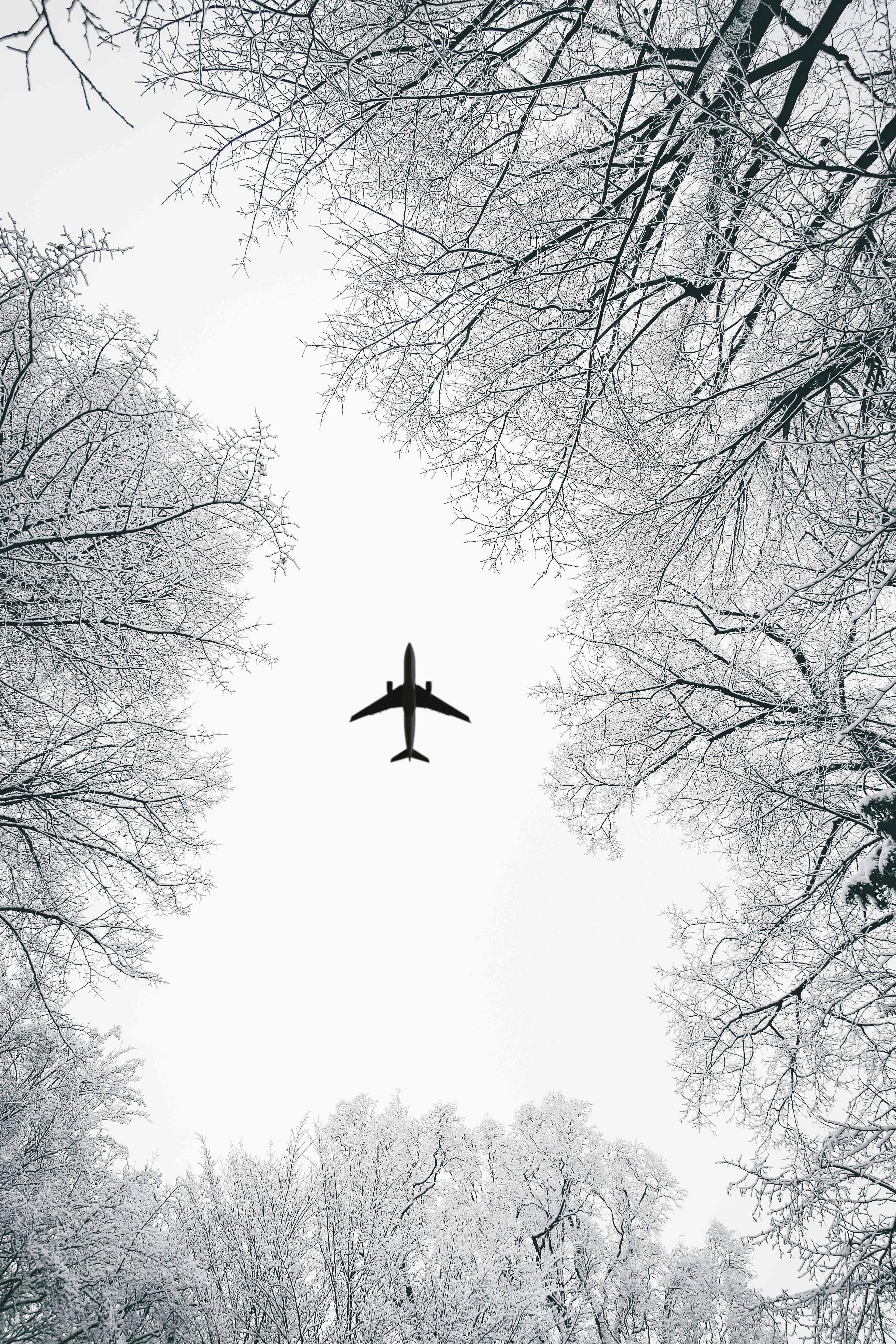 Low Angle View of Airliner during Winter