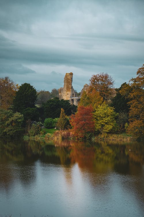 Trees on the Riverbank Covering the Ruins