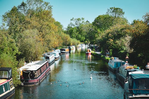 Boats Moored on the Canal in Newbury