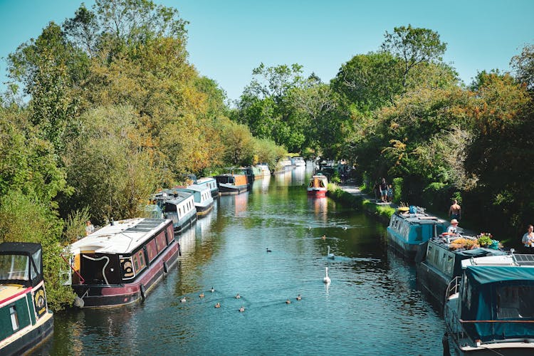 Boats Moored On The Canal In Newbury