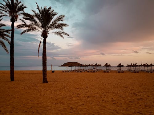 Sun Loungers Under Palm Leaf Umbrellas Set Up on a Tropical Beach in the Morning Light