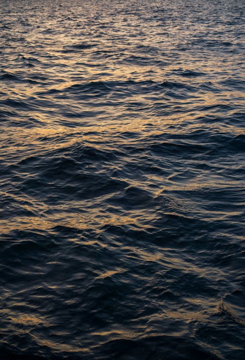 Waves in a Sea During Sunset 