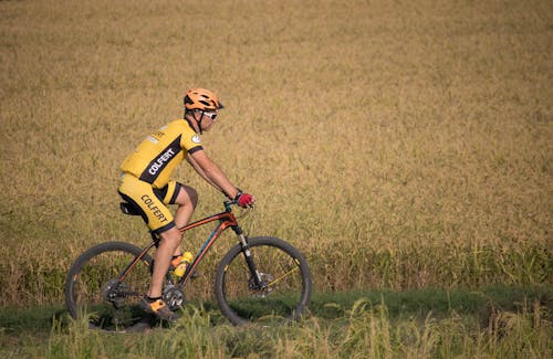 Immagine gratuita di andare in bicicletta, bicicletta, campo