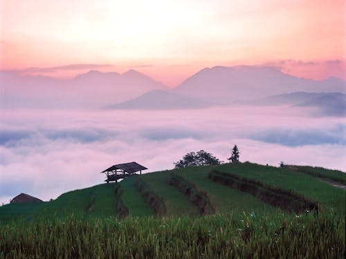 Darmowe zdjęcie z galerii z chmury, góra, pola ryżowe