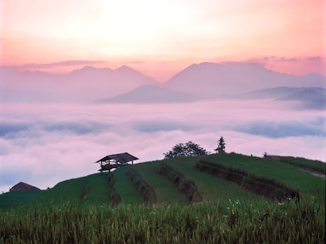 Peaceful sunrise over mountain rice terraces with clouds below, capturing a tranquil rural landscape.