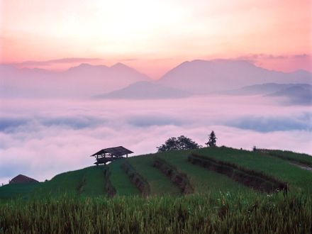 Sunrise over mountain rice terraces — photo by Q. Hưng Phạm on Pexels