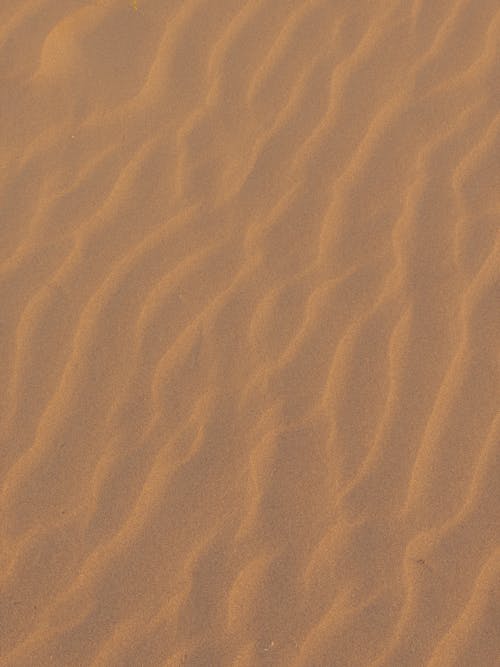 垂直拍攝, 手機桌面, 沙漠 的 免費圖庫相片