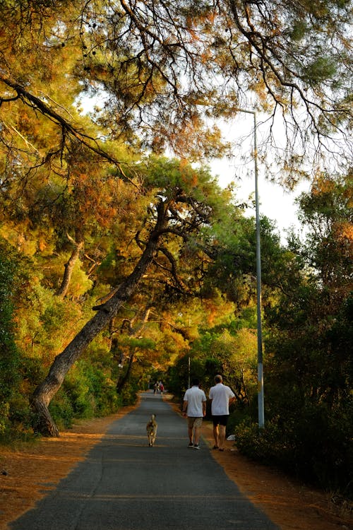 People Walking Dog at Park