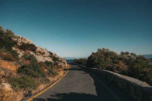 Foto d'estoc gratuïta de arbres, buit, carretera