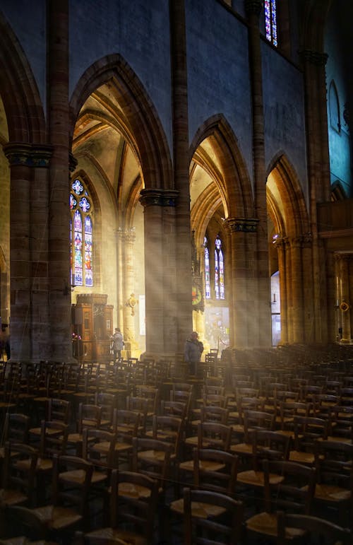 가벼운, 고딕 스타일, 교회의 무료 스톡 사진