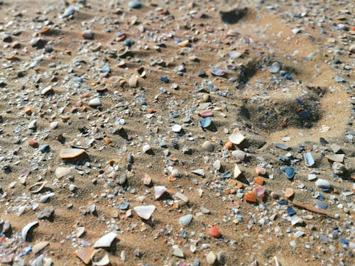Ilmainen kuvapankkikuva tunnisteilla hiekka, hiekkaranta, lähikuva