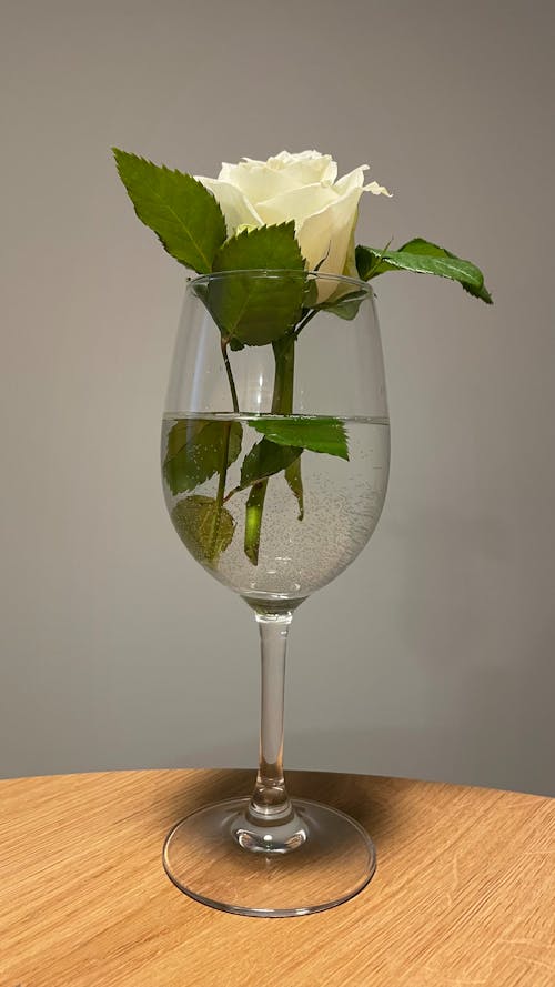 Безкоштовне стокове фото на тему «біла роза, букет, квітка»