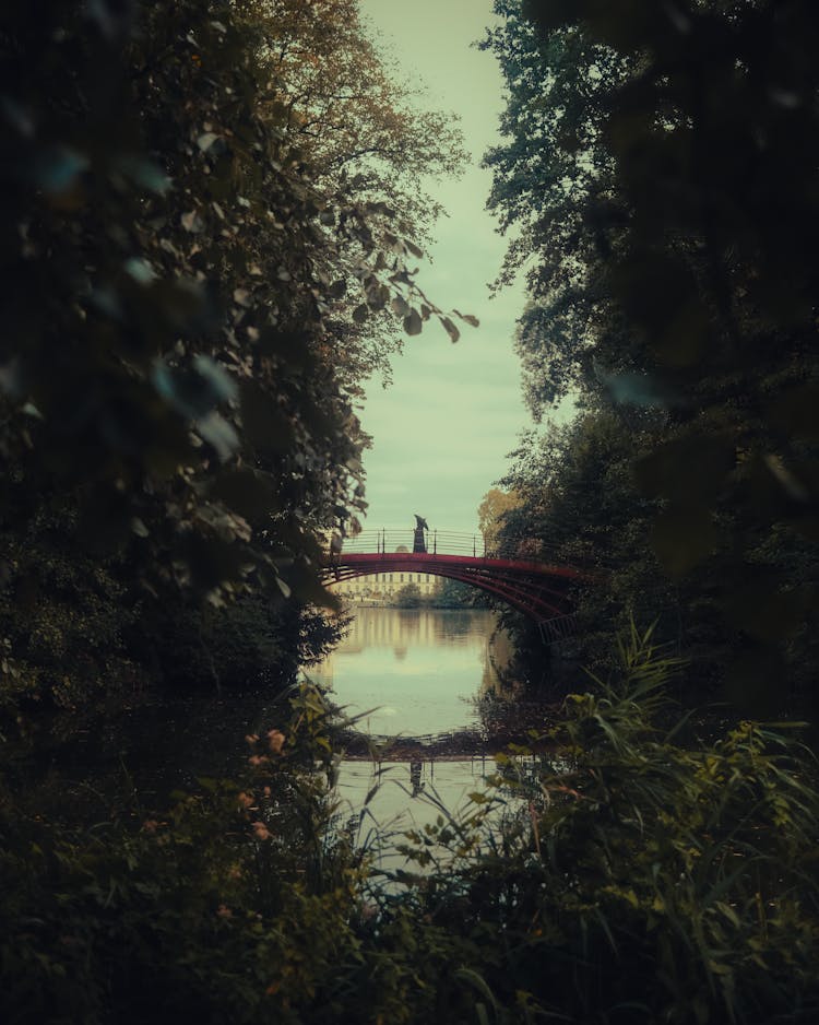 Green Trees With Pond And Footbridge Behind