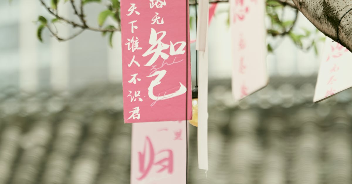 覺得生活卡卡 白露節氣能量轉折 命理師教你3大開運法走順運