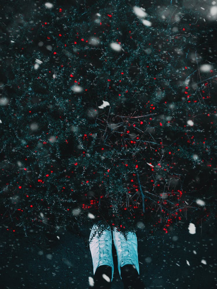 Person Wearing White Shoes Beside Plant