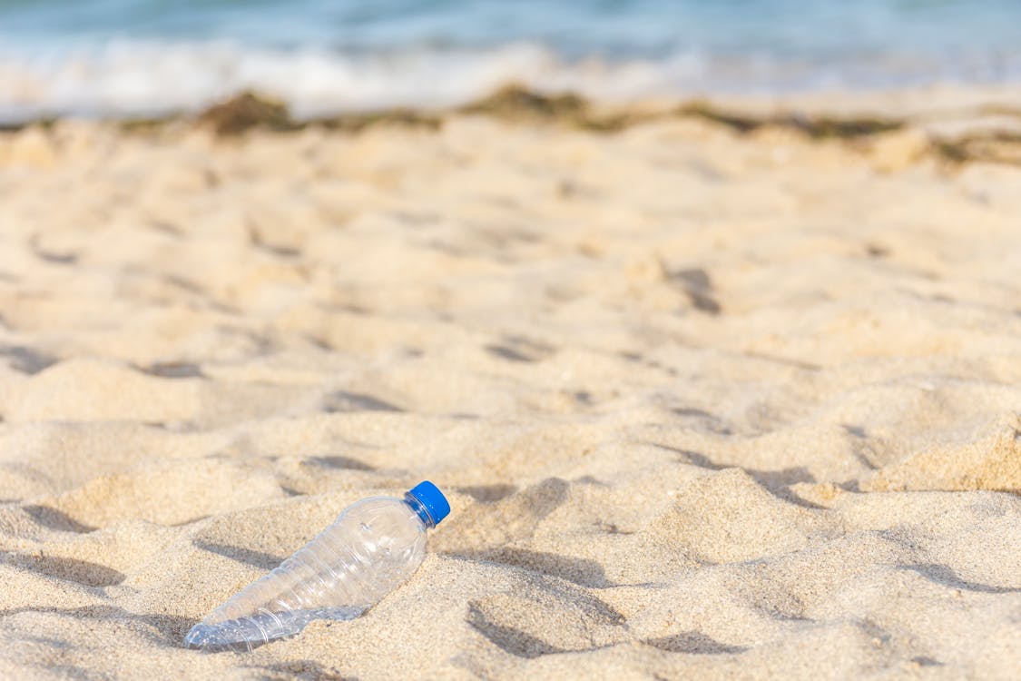 Immagine gratuita di bottiglia di plastica, focus selettivo, littering