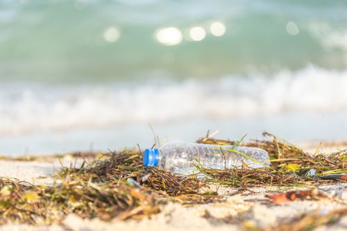 Free Plastic bottle polluting a sandy beach, highlighting environmental impact. Stock Photo