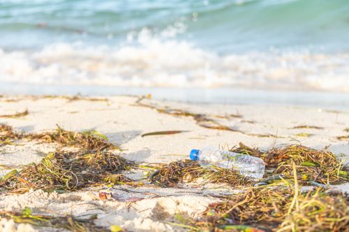 Free Plastic bottle littering a sandy beach, highlighting pollution issues. Stock Photo
