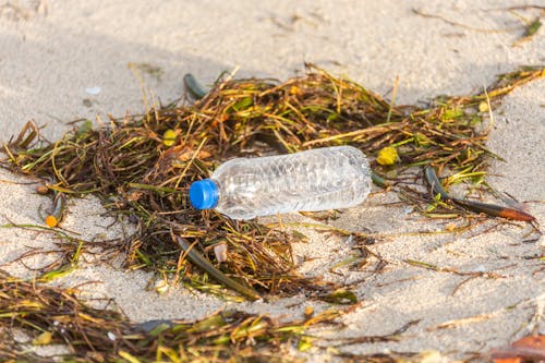 Plastic Bottle Lying on Sand among Branches