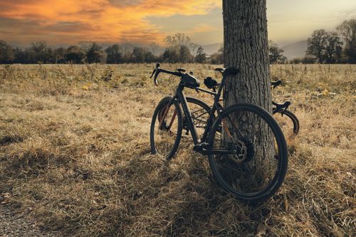Free Bicycles resting against a tree in an autumn field at sunset, showcasing serene natural beauty. Stock Photo